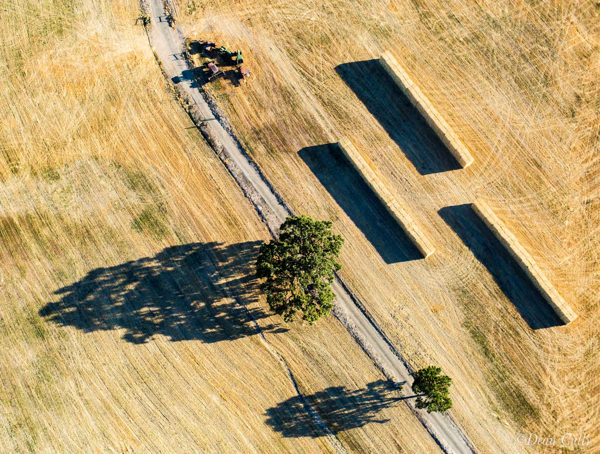 hayfield_and_bails_0426