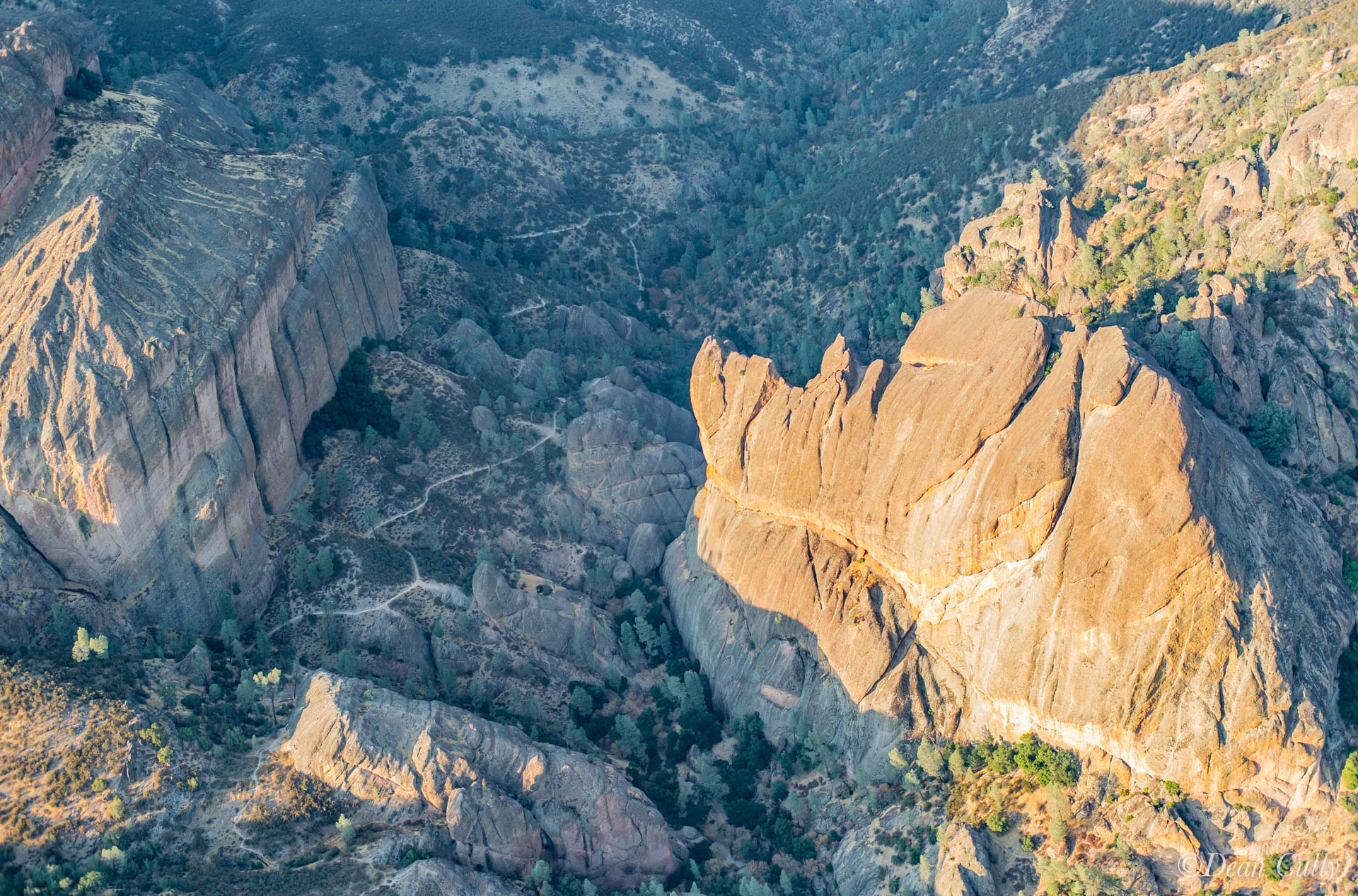 Pinnacles_NP_3346