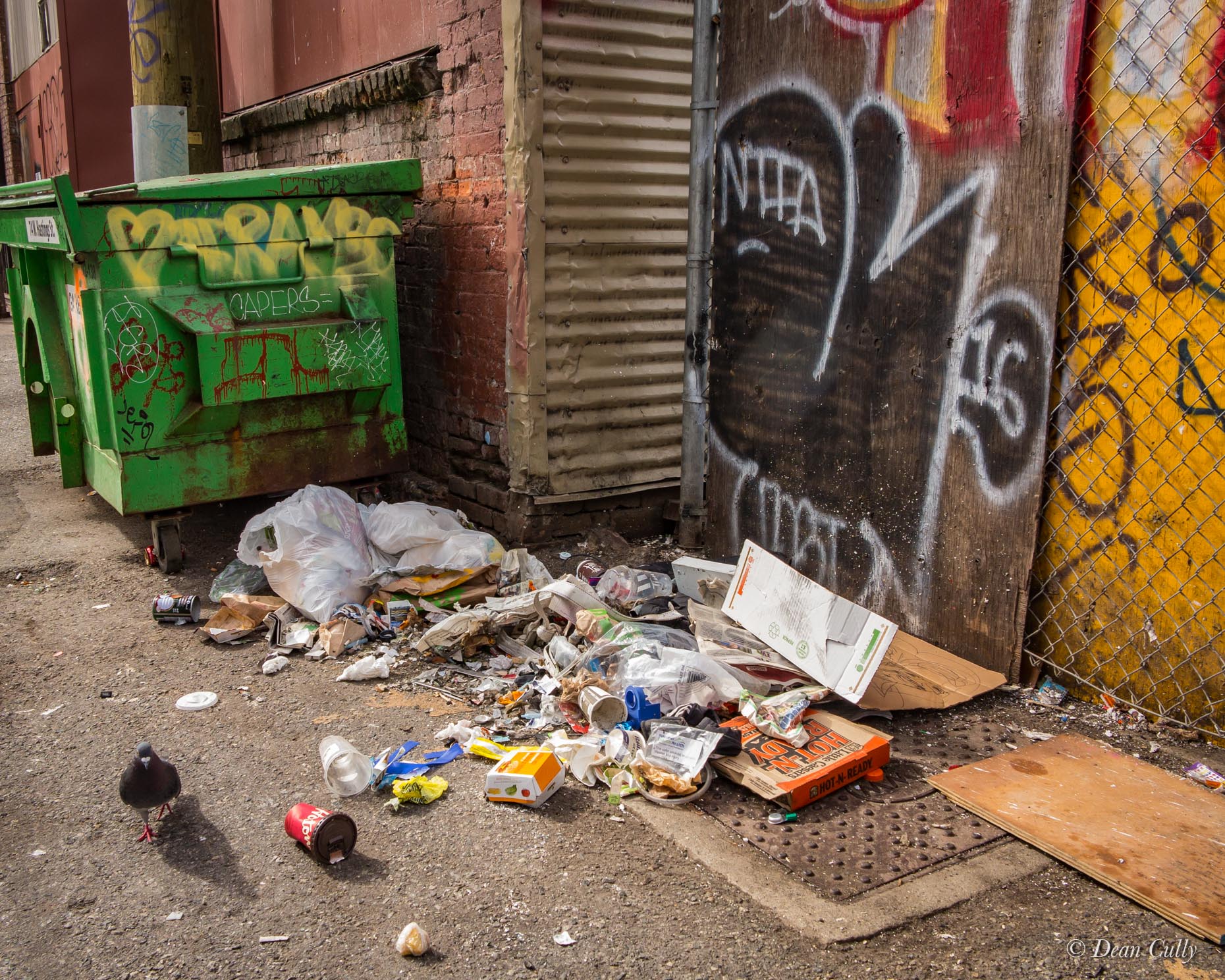 Vancouver_Alleyway_Filth_1599