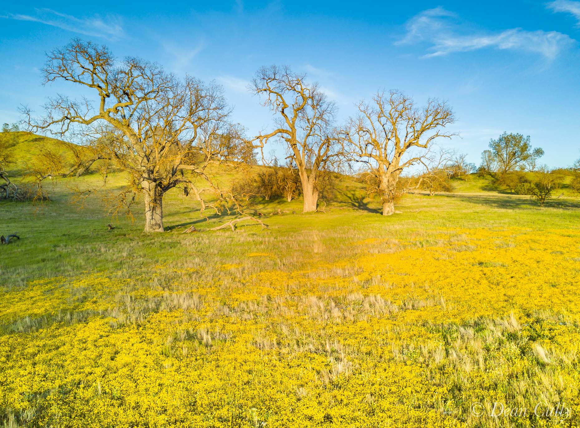 Shell_Creek_0195