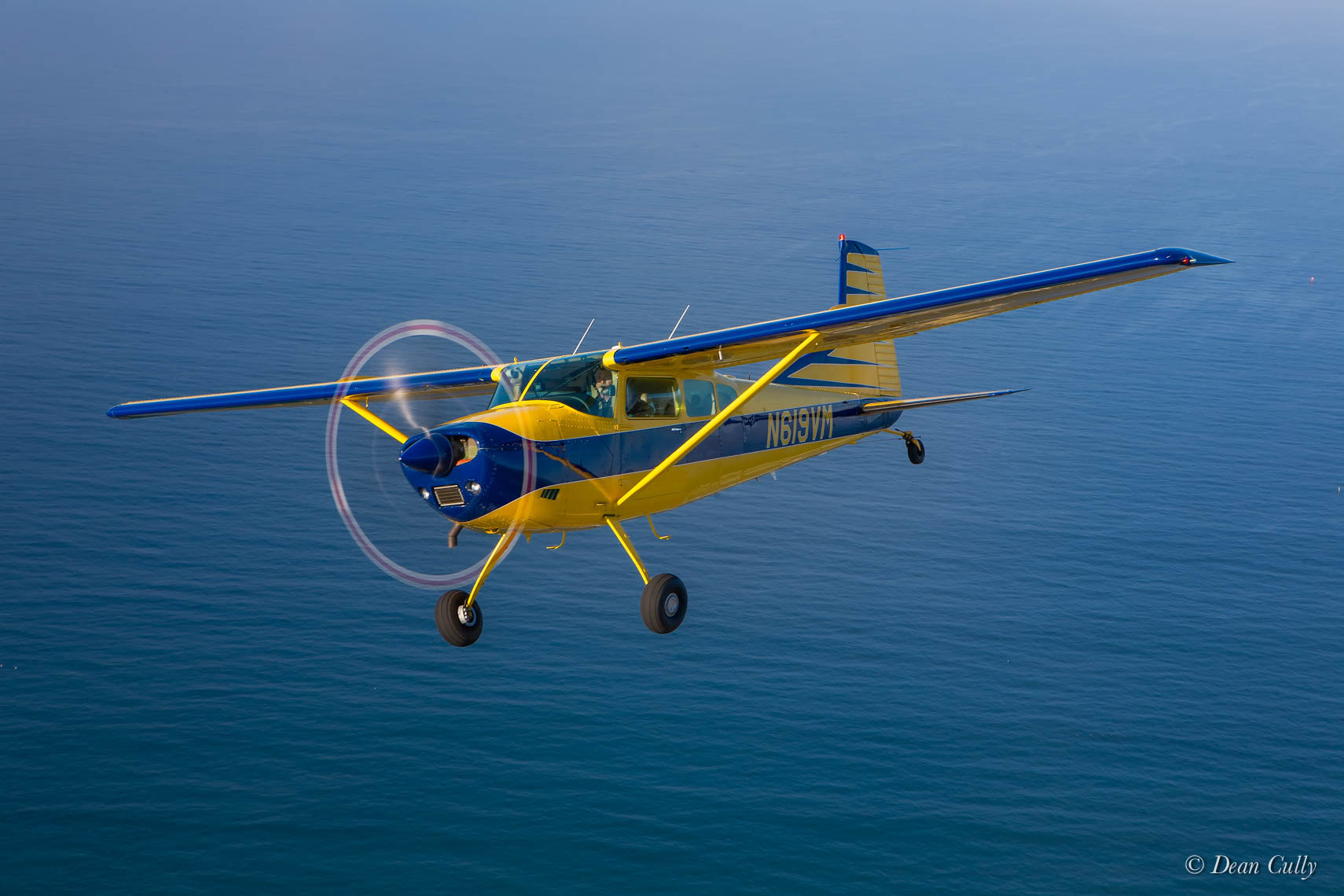 Cessna 185 on Blue