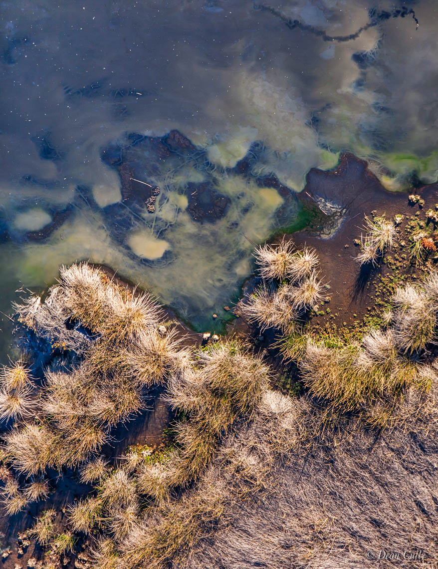 California_sanluisobispocounty_osoflaco_marsh_lake_reeds_algae_aerial_landscape_deancully